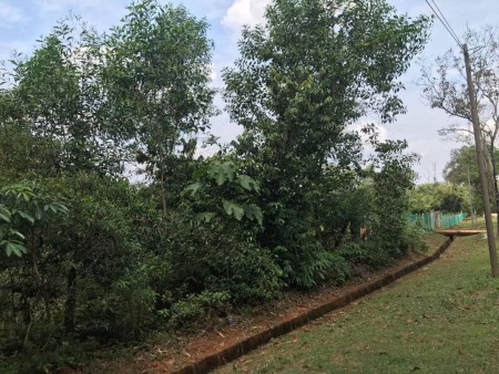 Apartment For Sale at Bandar Bukit Beruntung