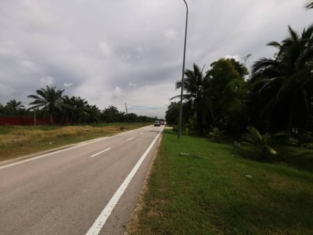 Agriculture Land For Sale at Kuala Selangor