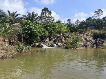 Agriculture Land For Sale at Kuala Lipis