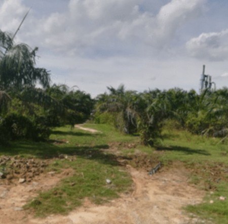 Industrial Land For Sale at Telok Panglima Garang