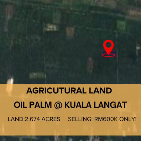 Agriculture Land For Sale at Tanjong Sepat