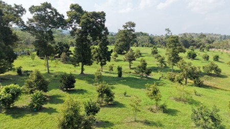 Agriculture Land For Sale at Bentong