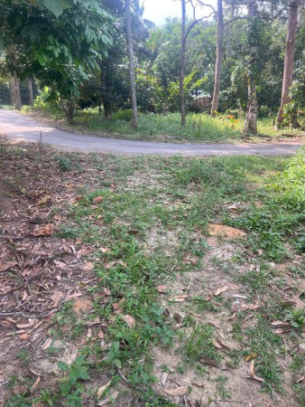 Agriculture Land For Sale at Lenggeng