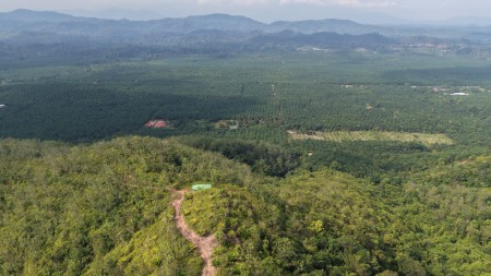 Agriculture Land For Sale at Raub