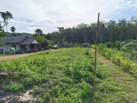 Agriculture Land For Sale at Bandar Baru Sungai Buaya