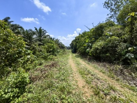 Agriculture Land For Sale at Ijok