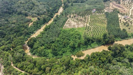 Agriculture Land For Sale at Kuala Lipis