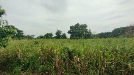 Industrial Land For Sale at Sendayan