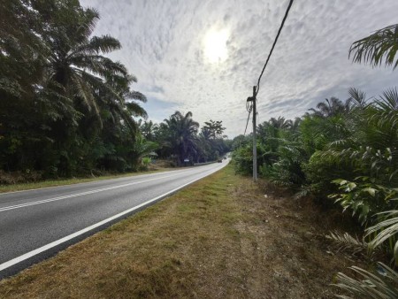 Agriculture Land For Sale at Bera