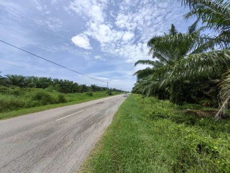 Agriculture Land For Sale at Tanjong Karang