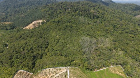 Agriculture Land For Sale at Kuala Lipis