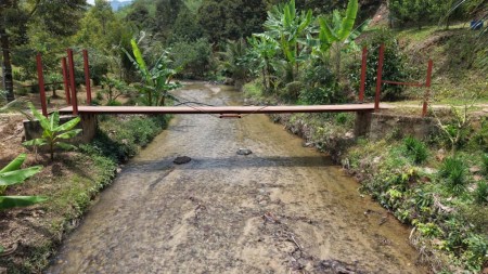 Agriculture Land For Sale at Jelebu
