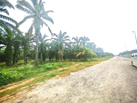 Agriculture Land For Sale at Dengkil