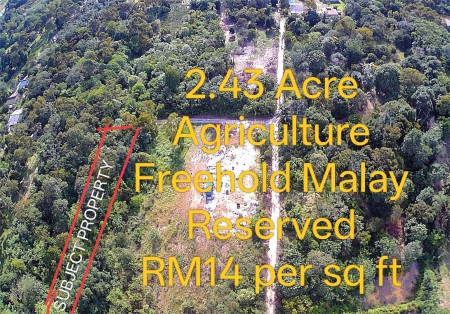 Agriculture Land For Sale at Dengkil