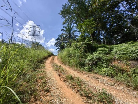 Agriculture Land For Sale at Kuala Lipis