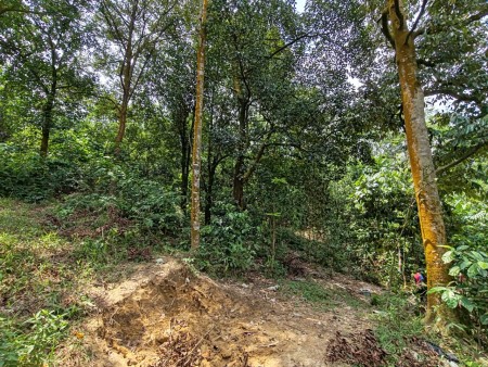 Industrial Land For Sale at Bukit Sentosa