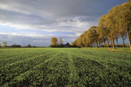 Residential Land For Sale at Meru