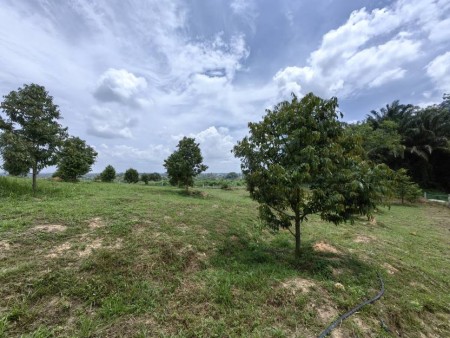 Agriculture Land For Sale at Ijok