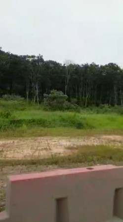 Industrial Land For Sale at Sepang