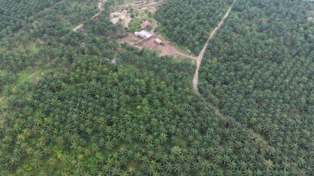 Agriculture Land For Sale at Triang