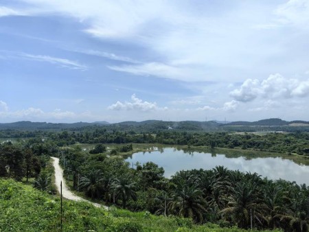Agriculture Land For Sale at Ijok