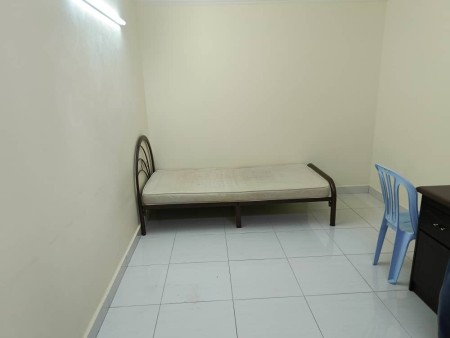 Penthouse Room for Rent at University Tower