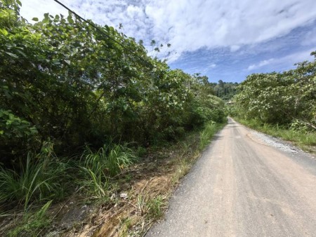 Agriculture Land For Sale at Kuala Lipis