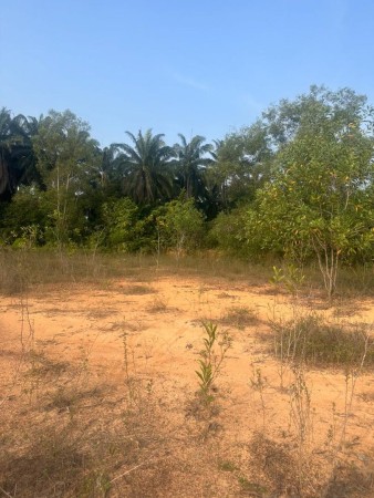 Residential Land For Sale at Bukit Damar