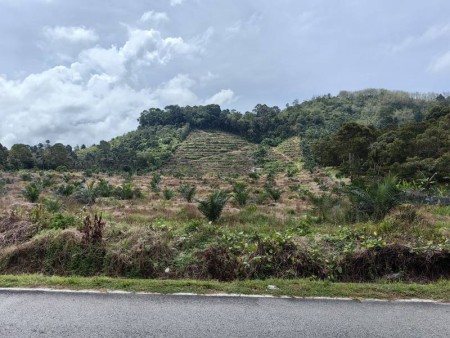 Agriculture Land For Sale at Jelebu