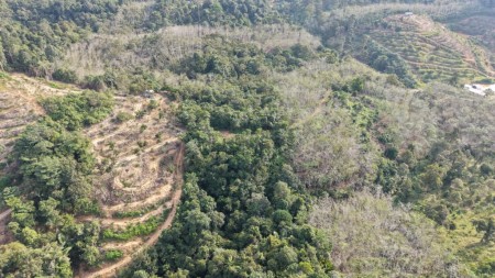 Agriculture Land For Sale at Kuala Lipis