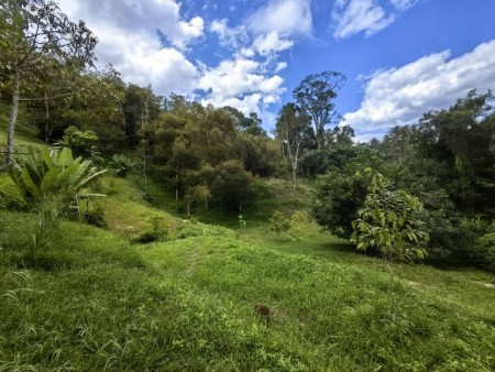 Agriculture Land For Sale at Bentong