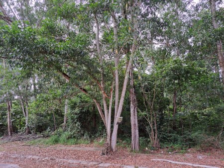 Bungalow Land For Sale at Meru Height