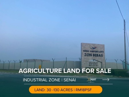 Agriculture Land For Sale at Senai