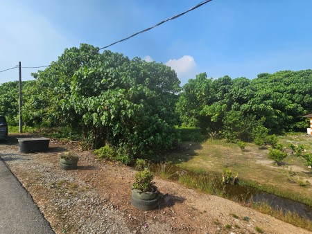 Agriculture Land For Sale at Klang