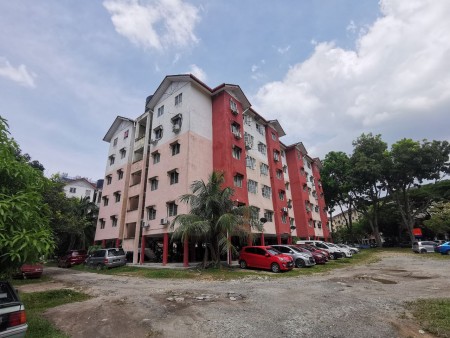 Apartment For Rent at Section 7