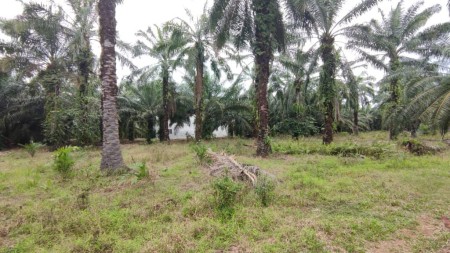 Agriculture Land For Sale at Semenyih