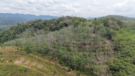 Agriculture Land For Sale at Jelebu