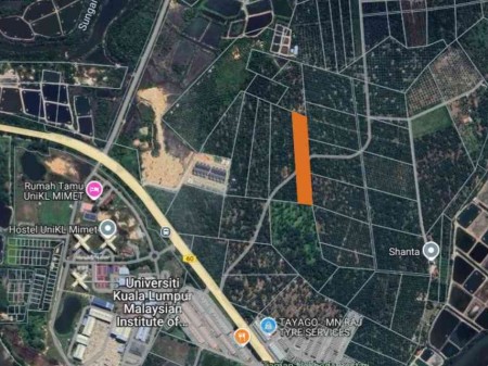 Agriculture Land For Sale at Sitiawan