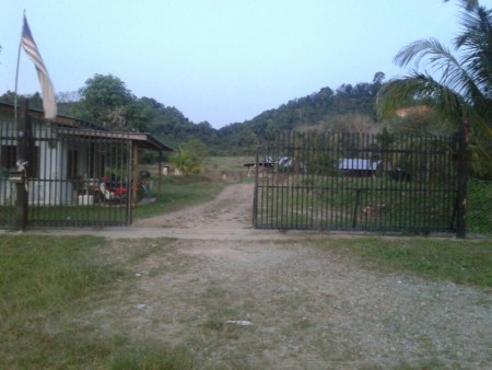 Agriculture Land For Sale at Padang Terap