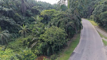 Agriculture Land For Sale at Kuala Lipis