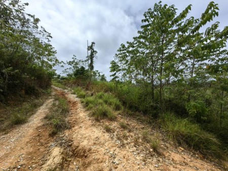 Agriculture Land For Sale at Raub