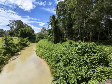 Agriculture Land For Sale at Padang Tengku