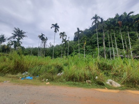 Agriculture Land For Sale at Lenggong