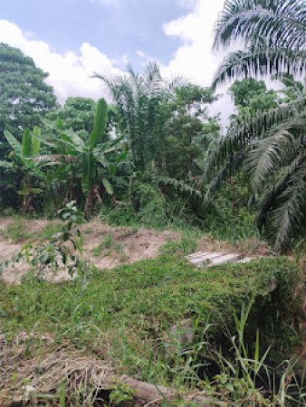 Agriculture Land For Sale at Telok Panglima Garang