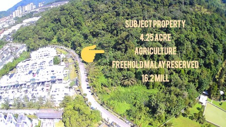 Agriculture Land For Sale at Kemensah