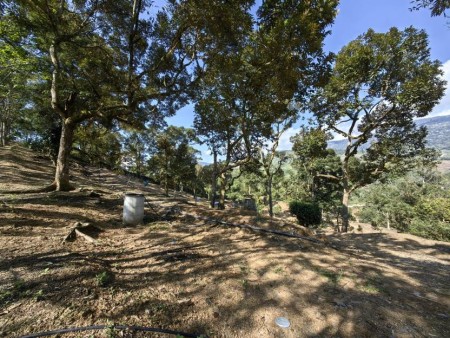 Agriculture Land For Sale at Chenor