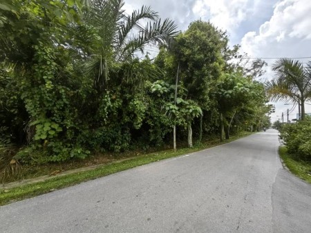 Residential Land For Sale at Kampung Padang Jawa