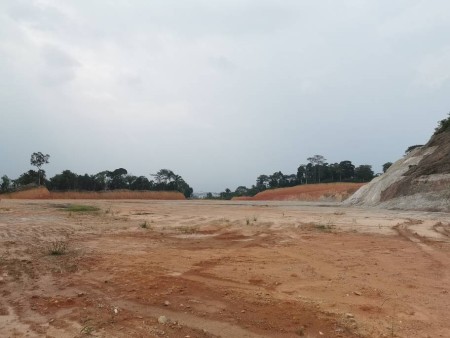 Industrial Land For Sale at Kampung Pulau Meranti
