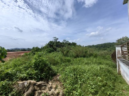 Agriculture Land For Sale at Kampung Sungai Merab