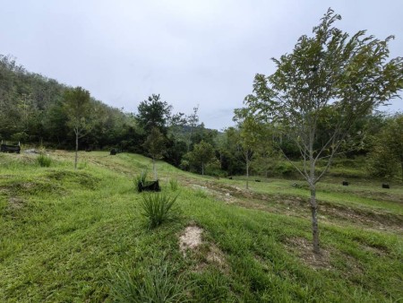 Agriculture Land For Sale at Kuala Klawang